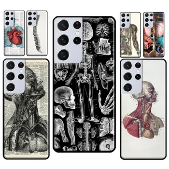Meditsiini-Inimese Anatoomia Case For Samsung Galaxy S21 S22 Ultra Lisa 20 S8 S9 S10 Lisa 10 Pluss S20 FE Telefoni Kate