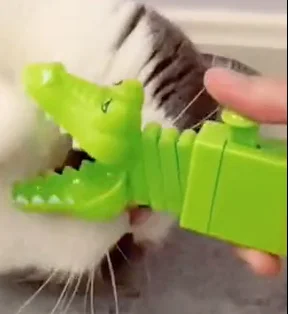 Laste käsi uudsus loominguline ülestõstetav krokodill mänguasi